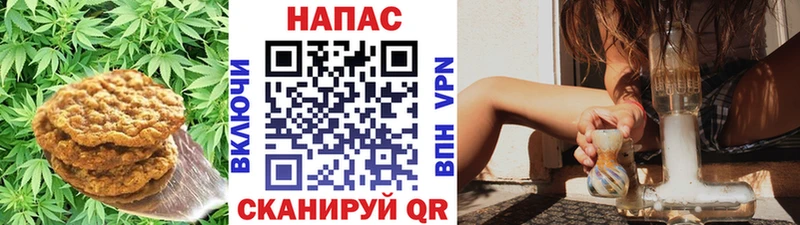 это какой сайт  как найти   Ноябрьск  Еда ТГК марихуана 