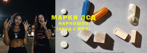 дмт Богданович