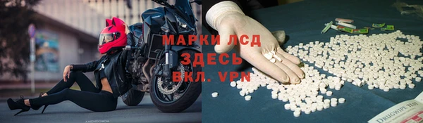 дмт Богданович