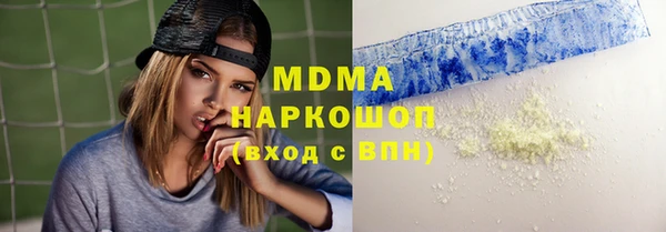 дмт Богданович