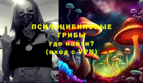 герыч Богородск