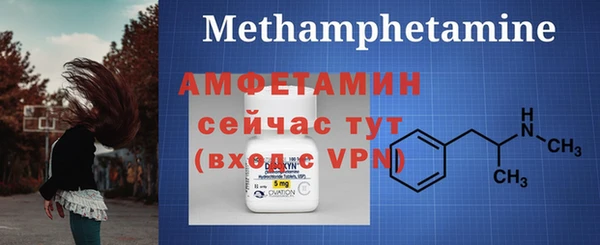 дмт Богданович