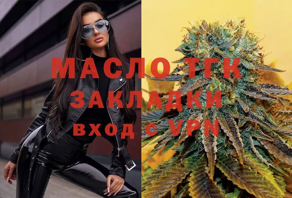дмт Богданович