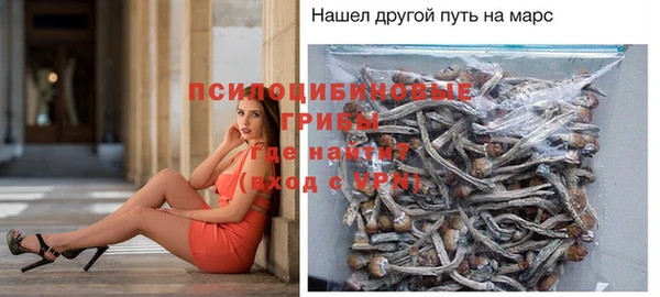 герыч Богородск