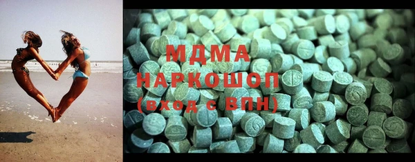 дмт Богданович