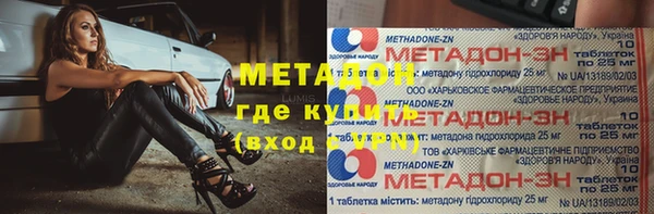 дмт Богданович