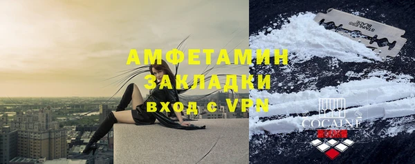 дмт Богданович