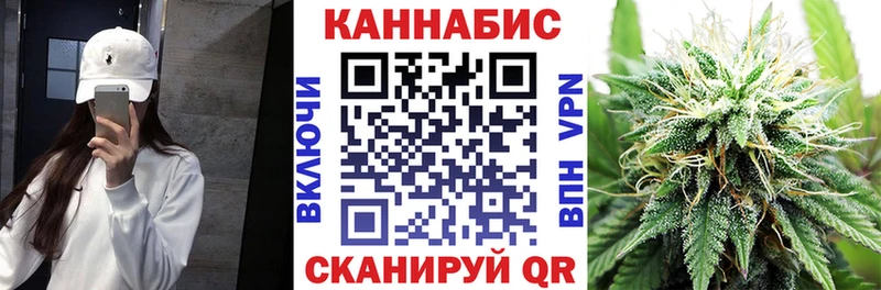 Канабис планчик  Ноябрьск 